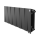 Биметаллический радиатор Royal Thermo PianoForte Noir Sable 300VD/100 секций 10