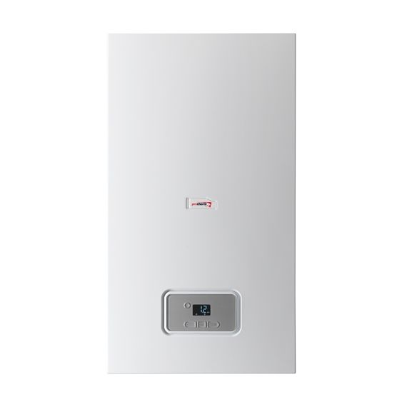 Двухконтурный настенный газовый котел Protherm Гепард 12 MOV - изображение | Океан тепла